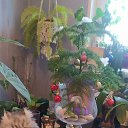 ���� ������, ���������� - ��������� 19 ������� 2025 � ������ ���� ����������