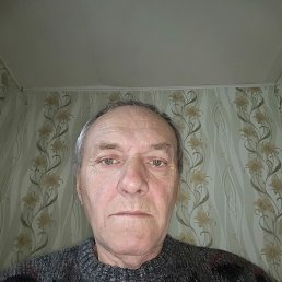 , 65 , 