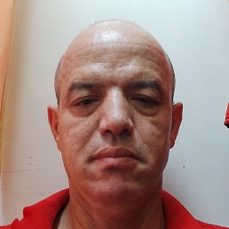 �����, ������, 48 ���