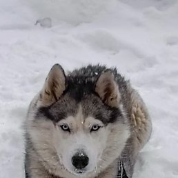 ���, ������, 34 ����