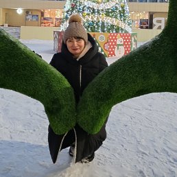 ���� ������, ��������, 54 ���� - ��������� 12 ����� 2026