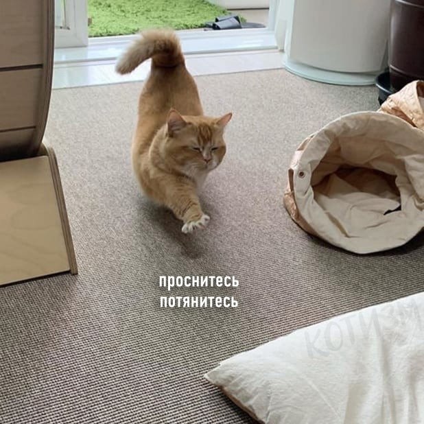 ���������� �� ����, ��� ������� ���� ���������