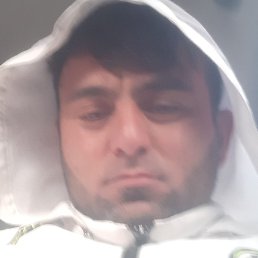 ����, �����-���������, 38 ���