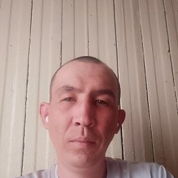 ���� Slavik, �����������, 34 ���� - ��������� 24 ��� 2026