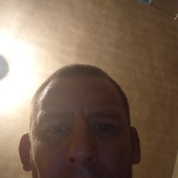 ���� ���, �����������, 41 ��� - ��������� 1 �������� 2024