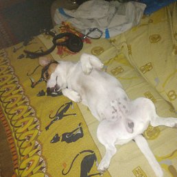 ���� ������, ����������, 45 ��� - ��������� 4 ������� 2025