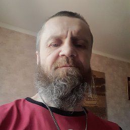 ���� ������� �������, ������, 49 ��� - ��������� 22 ��� 2024