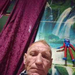 , 53, 