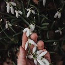 ���� ������, �����-��������� - ��������� 20 ������ 2025 � ������ ������ ��������