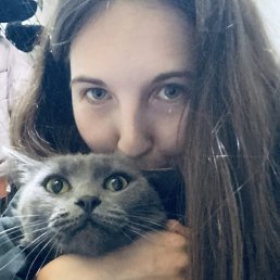 �����, 33 ����, ������