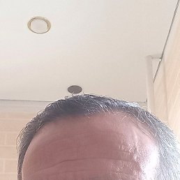 ���, ������, 55 ���