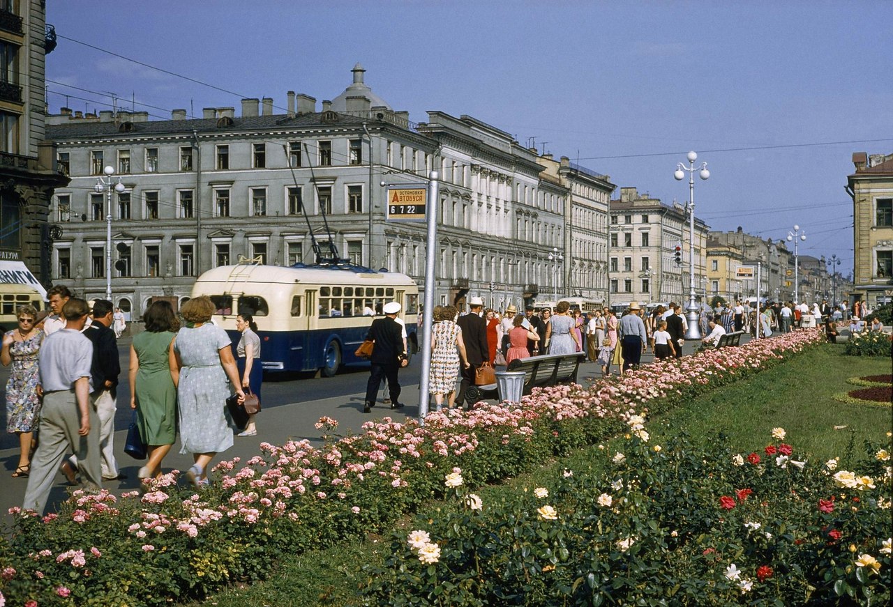  1959 