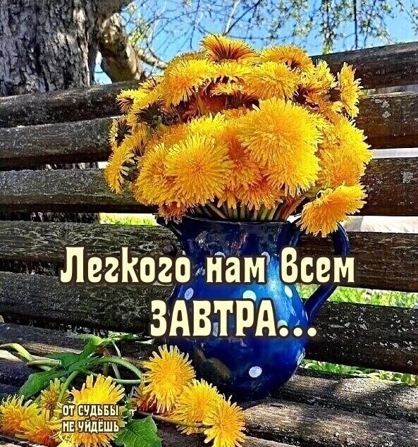   ,    . - 6  2025  22:14