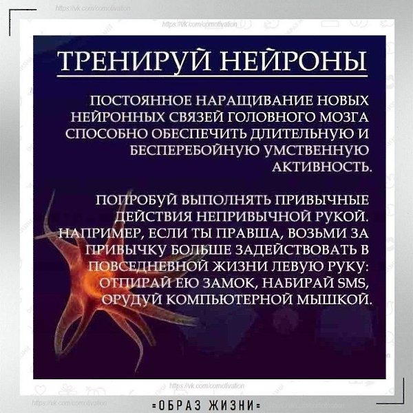 Полезные советы тем, кто тренирует извилины.
