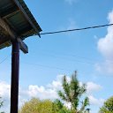 ���� ������, ������������ - ��������� 15 �������� 2024 � ������ ���� ����������