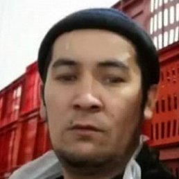 ��������, ������, 33 ����