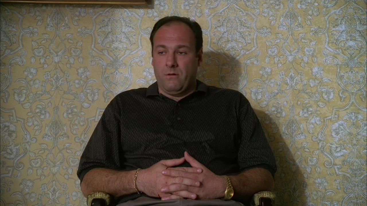   / The Sopranos, 1999 - 2007.dir. Allen Coulters01e05 - 7