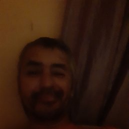 �����, 65 ���, ������