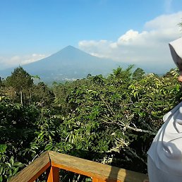 Lucy, �������, 26 ���