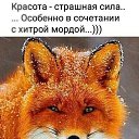 ���� �������, �����������, 45 ��� - ��������� 26 ������� 2025