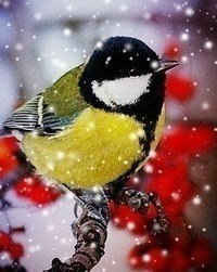    - 22  2025  21:21 - 4