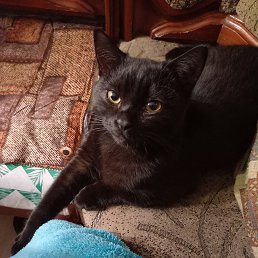 ���� ���������, �������, 53 ���� - ��������� 29 ������ 2025