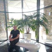 �������, 43 ����, ������