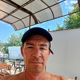 , 44, 