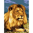 ���� �����, ������, 55 ��� - ��������� 31 ������� 2023 � ������ ���� ����������