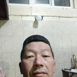 , 52, 