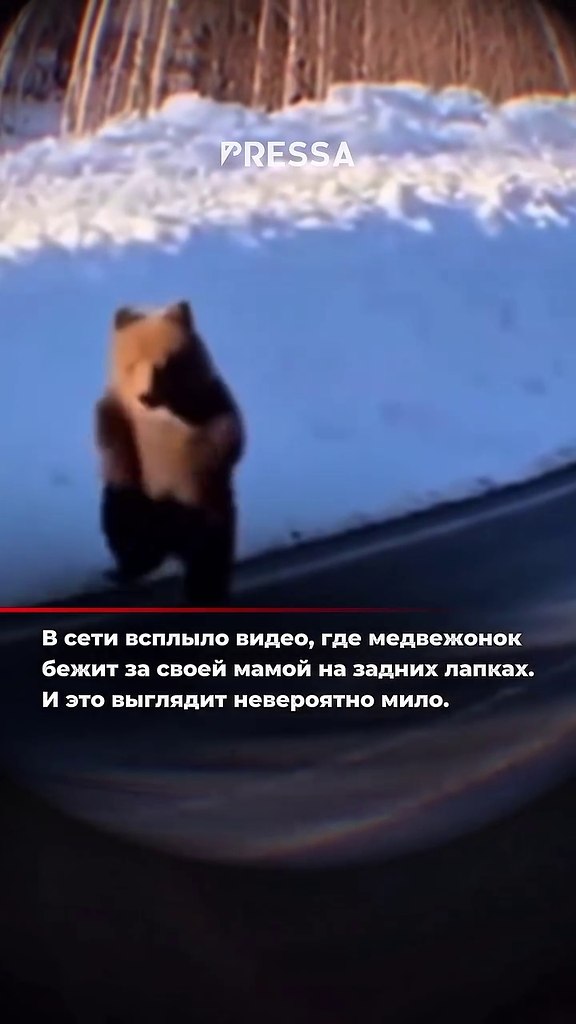 � ���� ������� �����, ��� ���������� ����� �� ����� ����� �� ������ ������. �� ��������� �� ... - 2