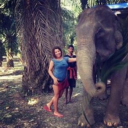 ����, �����, 33 ����