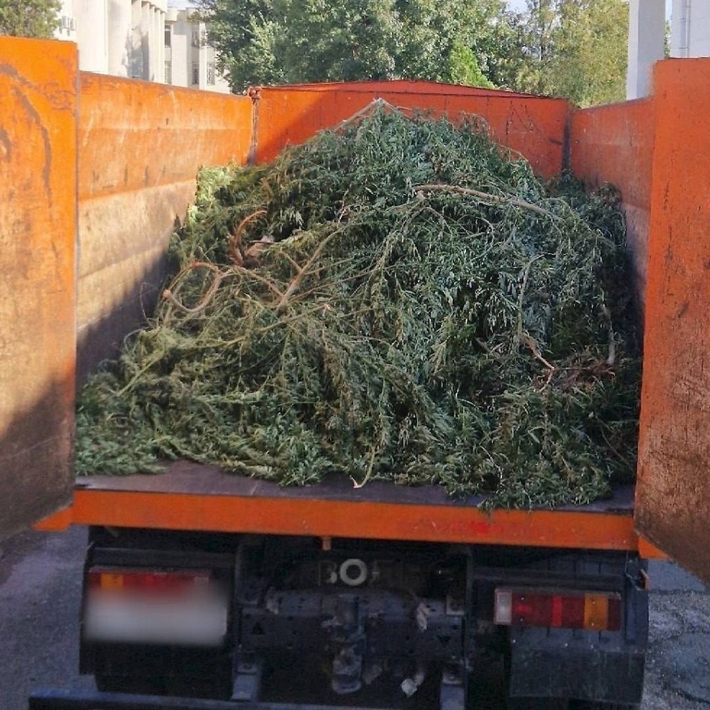 p ec e pac c oo coo e ec epo! aoe ocee e ocaoc ... - 3