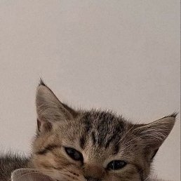 ����, �����, 19 ���