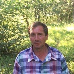 �����, ���������, 45 ���