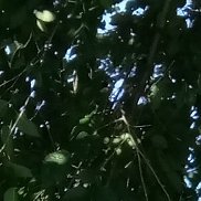 ����, 47 ���, ������