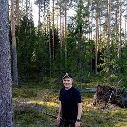 ����� ���������, ������, 68 ���