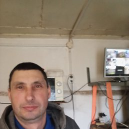 , 41, 