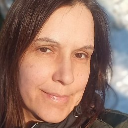 ��������, ���, 49 ���