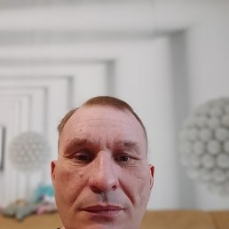 ������, 41 ���, ����