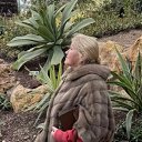 ���� �������, �����������, 67 ��� - ��������� 19 ��� 2026 � ������ ���� ����������