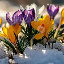 ���� �����, �������, 54 ���� - ��������� 14 ������ 2026 � ������ ������ ��������
