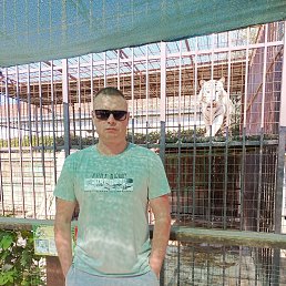 ������, 41 ���, ������