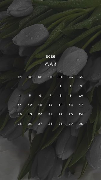 ����������� � ���������, �������� �� ������ ����. - 27 ������ 2026 � 23:45 - 2