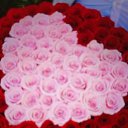 ���� �����, �������, 35 ��� - ��������� 13 ������� 2026 � ������ ���� ����������