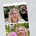 ���� �����, �����-���������, 49 ��� - ��������� 5 ���� 2025 � ������ ���� ����������
