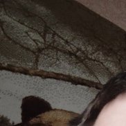 ����, 34 ����, ������