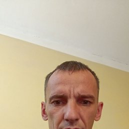 , 37, 