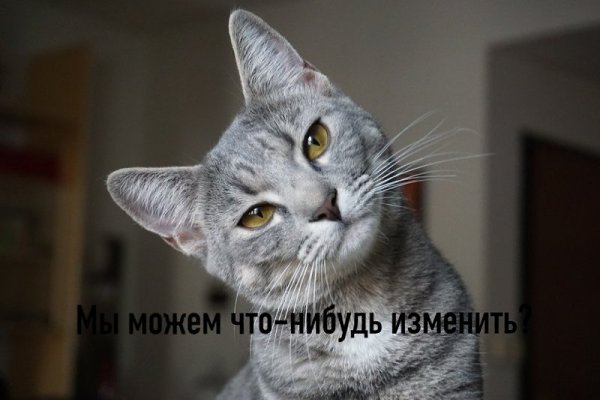 ��� ���� � ����� �� �� - 17 ��� 2026 � 16:25