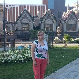 �����, 41 ���, ������